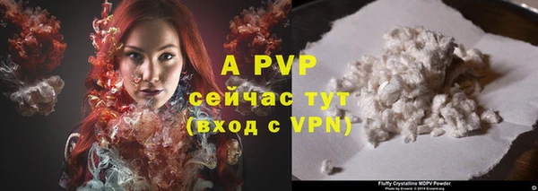 шишки Бронницы