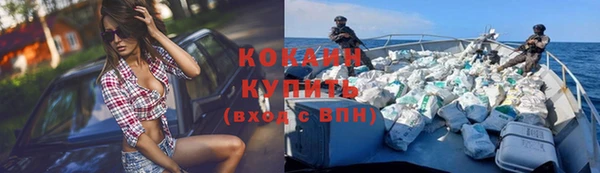 шишки Бронницы