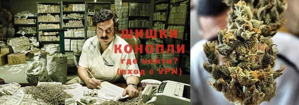 ПСИЛОЦИБИНОВЫЕ ГРИБЫ Богородск