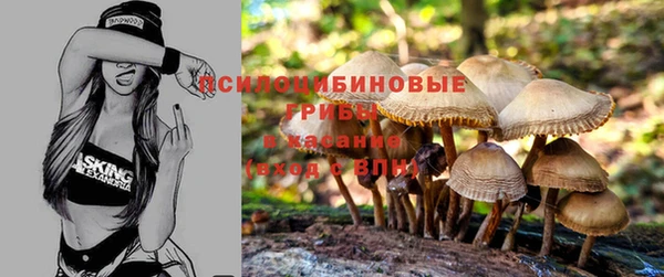 первитин Бугульма