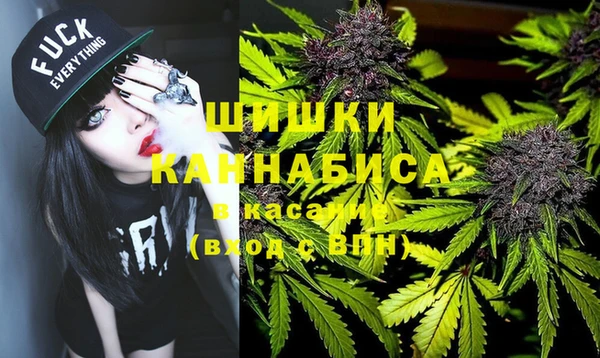 шишки Бронницы