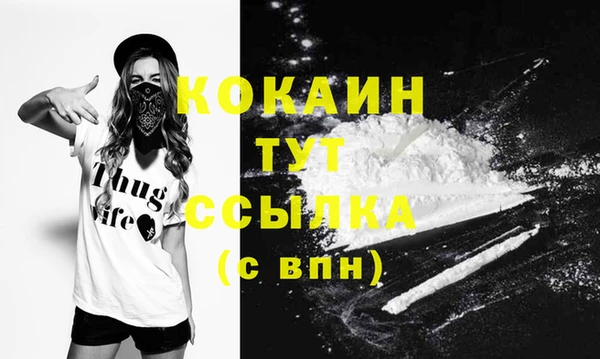 шишки Бронницы
