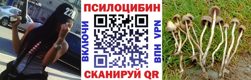 Псилоцибиновые грибы MAGIC MUSHROOMS купить наркоту Энгельс